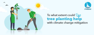 Planting-Tree